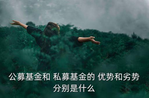 私募股權投資的優(yōu)勢,不動產(chǎn)私募股權投資基金