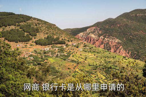  網商 銀行卡是從哪里申請的