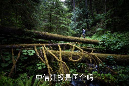 中國世紀(jì)投資集團