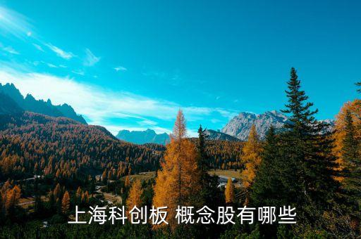  上?？苿?chuàng)板 概念股有哪些