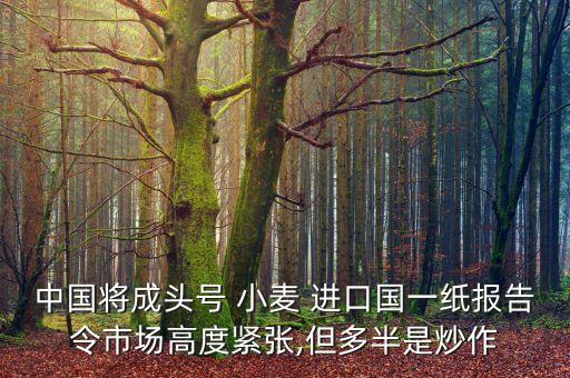 中國將成頭號 小麥 進(jìn)口國一紙報(bào)告令市場高度緊張,但多半是炒作