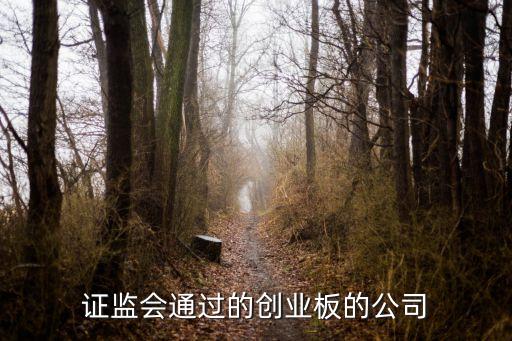證監(jiān)會(huì)通過的創(chuàng)業(yè)板的公司