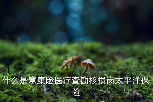 中國(guó)太?；A(chǔ)設(shè)施債權(quán),基礎(chǔ)設(shè)施債權(quán)計(jì)劃