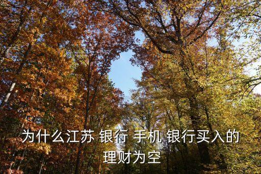 手機(jī)銀行購(gòu)買理財(cái)產(chǎn)品無法買
