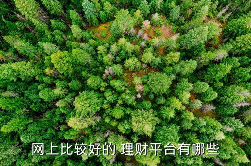 專(zhuān)戶(hù)網(wǎng)絡(luò)個(gè)人理財(cái)公司