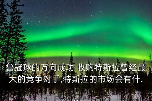 魯冠球的萬向成功 收購特斯拉曾經最大的競爭對手,特斯拉的市場會有什...