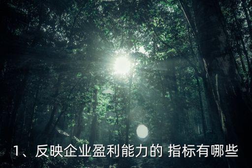 1、反映企業(yè)盈利能力的 指標(biāo)有哪些