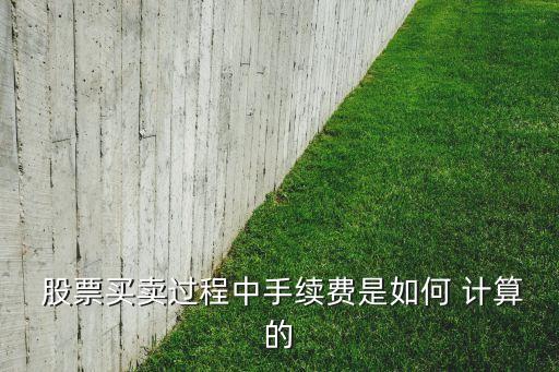  股票買(mǎi)賣(mài)過(guò)程中手續(xù)費(fèi)是如何 計(jì)算的