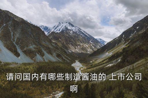 請問國內有哪些制造醬油的 上市公司啊