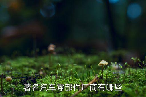 著名汽車(chē)零部件廠(chǎng)商有哪些