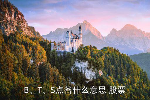B、T、S點(diǎn)各什么意思 股票