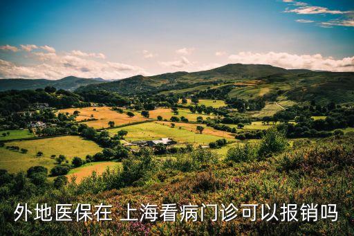 外地醫(yī)保在 上?？床￠T診可以報銷嗎