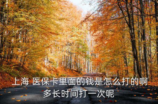  上海 醫(yī)保卡里面的錢是怎么打的啊多長時間打一次呢