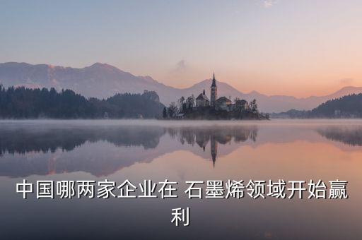 中國哪兩家企業(yè)在 石墨烯領域開始贏利