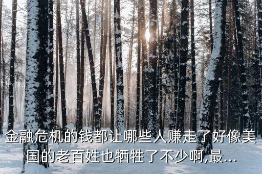 金融危機(jī)的錢(qián)都讓哪些人賺走了好像美國(guó)的老百姓也犧牲了不少啊,最...