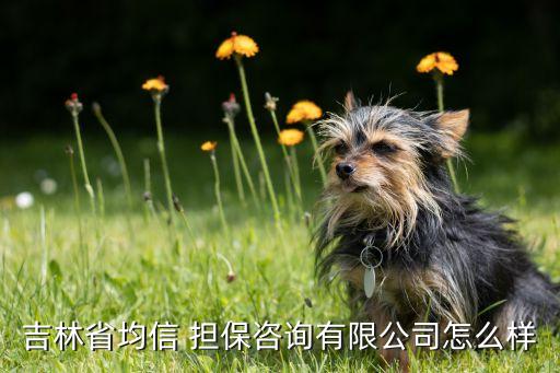 吉林省均信 擔(dān)保咨詢(xún)有限公司怎么樣