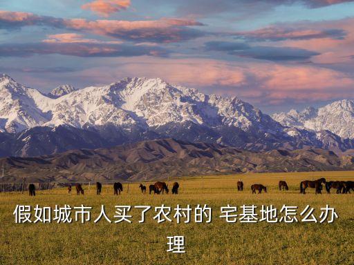 假如城市人買了農村的 宅基地怎么辦理