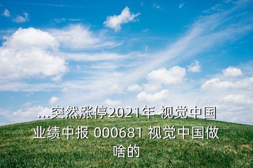 ...突然漲停2021年 視覺(jué)中國(guó)業(yè)績(jī)中報(bào) 000681 視覺(jué)中國(guó)做啥的