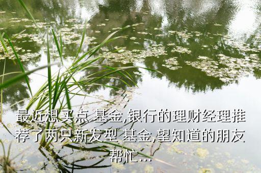 最近想買(mǎi)點(diǎn) 基金,銀行的理財(cái)經(jīng)理推薦了兩只新發(fā)型 基金,望知道的朋友幫忙...