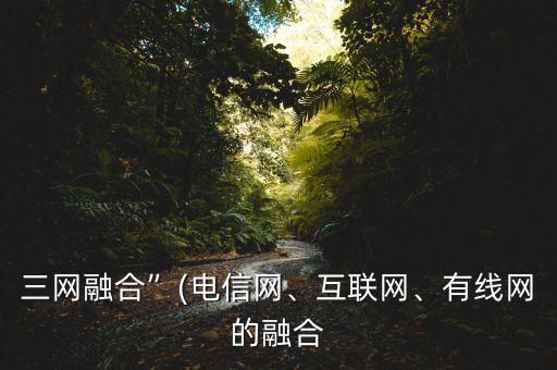 三網(wǎng)融合”(電信網(wǎng)、互聯(lián)網(wǎng)、有線網(wǎng)的融合
