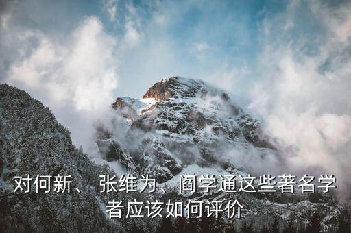 對(duì)何新、 張維為、閻學(xué)通這些著名學(xué)者應(yīng)該如何評(píng)價(jià)