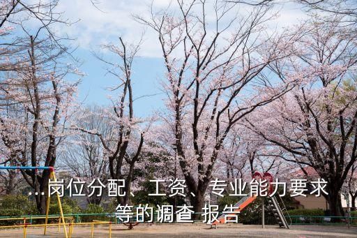 ...崗位分配、工資、專業(yè)能力要求等的調(diào)查 報告