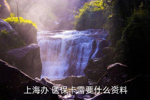  上海辦 醫(yī)?？ㄐ枰裁促Y料