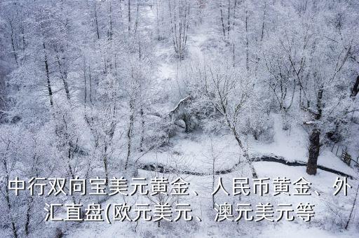 中行雙向?qū)毭涝S金、人民幣黃金、外匯直盤(歐元美元、澳元美元等