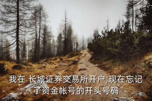 我在 長(zhǎng)城證券交易所開(kāi)戶(hù),現(xiàn)在忘記了資金帳號(hào)的開(kāi)頭號(hào)碼