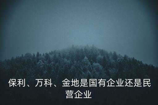  保利、萬科、金地是國有企業(yè)還是民營企業(yè)