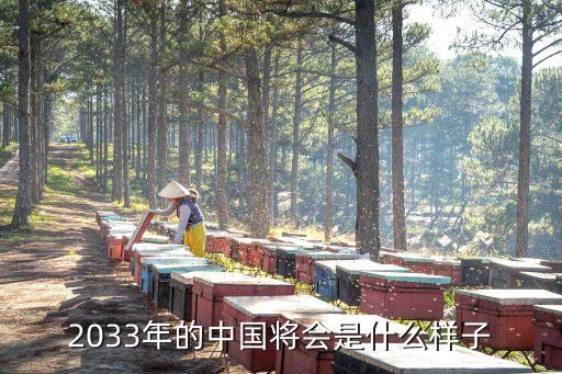 2033年的中國將會(huì)是什么樣子