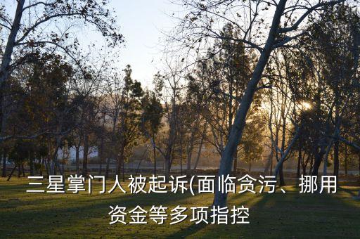  三星掌門人被起訴(面臨貪污、挪用資金等多項指控