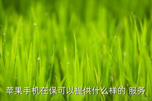 蘋果手機在保可以提供什么樣的 服務(wù)
