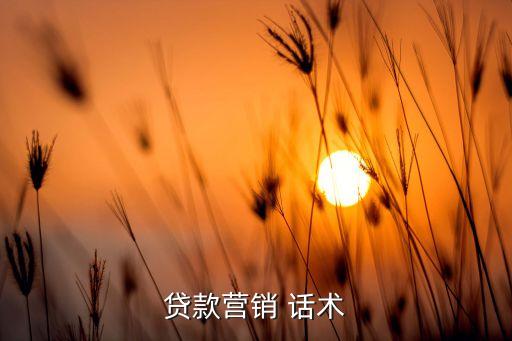 貸款營(yíng)銷(xiāo) 話術(shù)