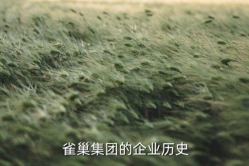 雀巢中國區(qū)總經(jīng)理,雀巢公司中國區(qū)負責人