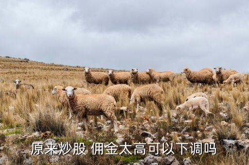 股票傭金怎么降低,傭金萬(wàn)2.5和萬(wàn)1.5差多少