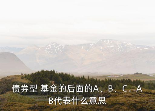 債券型 基金的后面的A、B、C、AB代表什么意思
