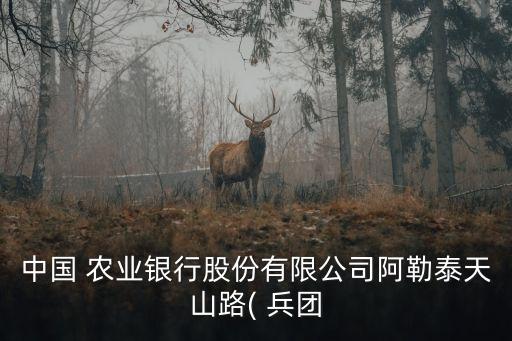 農業(yè)銀行新疆兵團分行領導成員