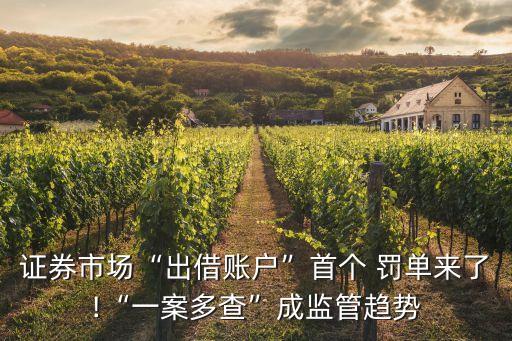 證券市場(chǎng)“出借賬戶”首個(gè) 罰單來(lái)了!“一案多查”成監(jiān)管趨勢(shì)