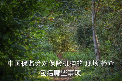 中國保監(jiān)會對保險機(jī)構(gòu)的 現(xiàn)場 檢查包括哪些事項(xiàng)