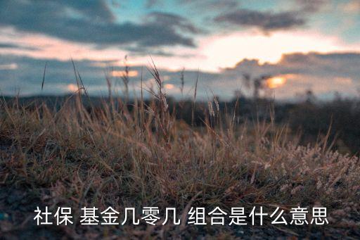 全國(guó)社?；?06組合,社保基金106組合牛不牛