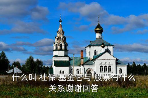 全國(guó)社?；鹜顿Y的股票,社?；?023年投資的股票