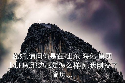 你好,請問你是在 山東 海化 集團(tuán)上班嗎,那邊感覺怎么樣啊,我剛投了簡歷...