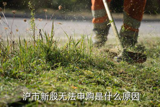  滬市新股無法申購(gòu)是什么原因