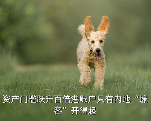資產(chǎn)門(mén)檻躍升百倍港賬戶(hù)只有內(nèi)地“壕客”開(kāi)得起