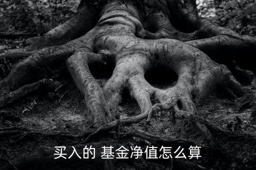 買(mǎi)入的 基金凈值怎么算