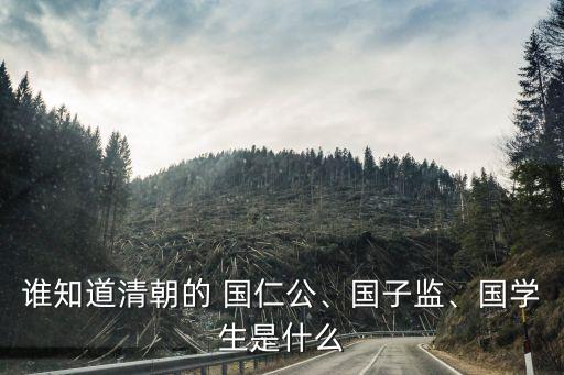 誰(shuí)知道清朝的 國(guó)仁公、國(guó)子監(jiān)、國(guó)學(xué)生是什么