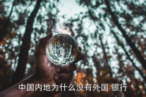 中國(guó)內(nèi)地為什么沒(méi)有外國(guó) 銀行