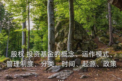  股權(quán) 投資基金的概念、運作模式、 管理制度、分類、時間、起源、政策...