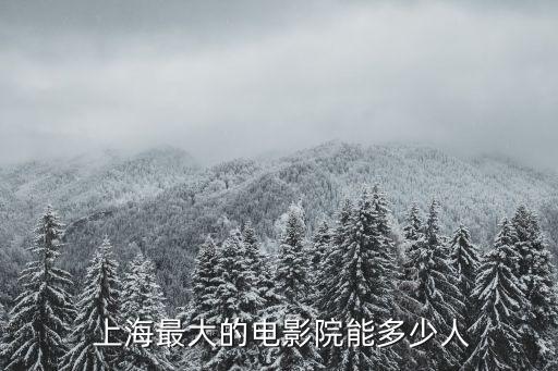 上?？梢匀菁{700人的報告廳